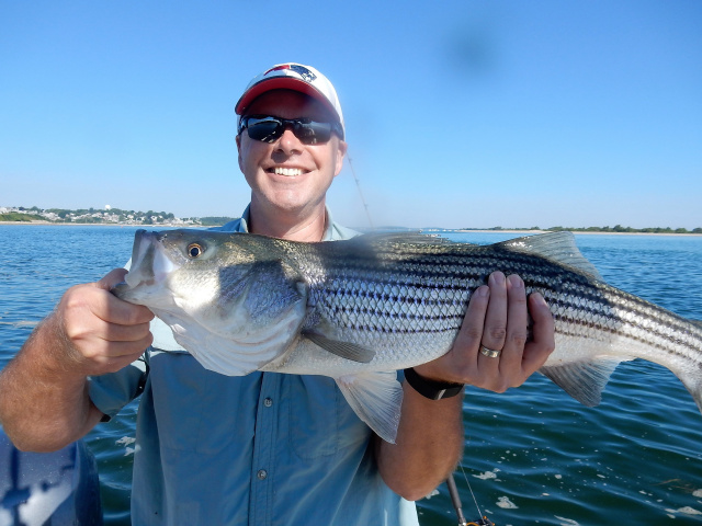 Iain's live lined striper